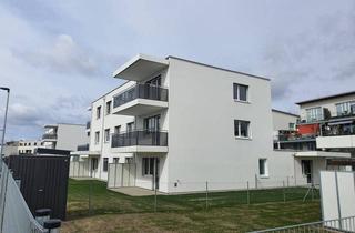 Wohnung mieten in Nikolaus Pacassi-Gasse 2-6, 2700 Wiener Neustadt, 2-Zimmer-Wohnung mit Terrasse und Garten, Top 1