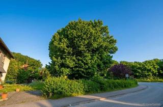 Grundstück zu kaufen in 4360 Lettental, Baugrund 632 m² | Kein Bauzwang | Grein an der Donau | OÖ | € 85.000