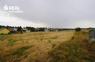 Grundstück zu kaufen in 2020 Hollabrunn, Rarität - Geldanlage ohne Bauzwang - Ihr Traumgrundstück in Bestlage wartet auf Sie