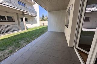 Wohnung mieten in 8430 Kaindorf, Komfortabel wohnen: Erdgeschosswohnung im Erstbezug
