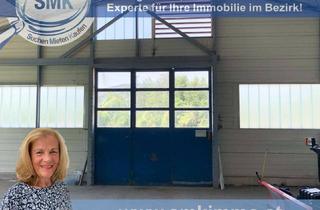 Gewerbeimmobilie mieten in 2514 Traiskirchen, GROSSZÜGIGE LAGERHALLE ZU VERMIETEN!