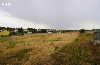 Grundstück zu kaufen in 2020 Magersdorf, Rarität - Geldanlage ohne Bauzwang - Ihr Traumgrundstück in Bestlage wartet auf Sie
