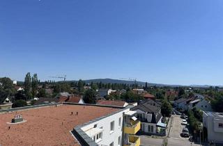 Wohnung mieten in 2700 Wiener Neustadt, Dachgeschoss mit Fernblick