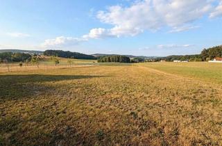 Grundstück zu kaufen in 4211 Rinzendorf, Attraktives Baugrundstück im Dorfgebiet
