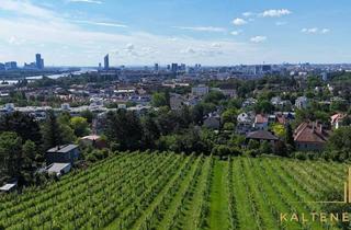 Villen zu kaufen in 1190 Wien, Baugenehmigtes Grundstück am Döblinger Nussberg