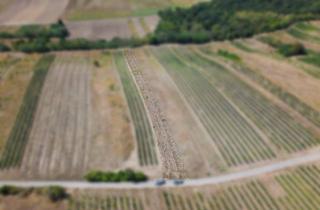 Gewerbeimmobilie kaufen in 2221 Groß-Schweinbarth, Landwirtschaftliches Grundstück in der KG Auersthal - 2183m2