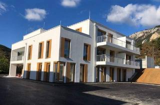 Gewerbeimmobilie mieten in 2732 Würflach, Freie Pkw-Abstellplätze Oberhöflein