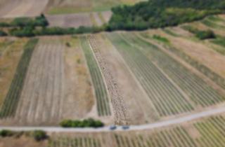 Gewerbeimmobilie kaufen in 2221 Groß-Schweinbarth, Landwirtschaftliches Grundstück in der KG Auersthal - 2183m2