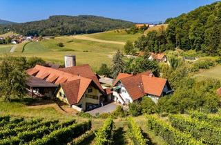 Haus kaufen in 8505 Sankt Nikolai im Sausal, SÜDSTEIRISCHE RARITÄT MIT 33.753 m² GRUND 7 WOHNUNGEN & UNENDLICH VIELE MÖGLICHKEITEN!