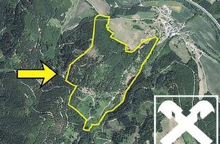 Gewerbeimmobilie kaufen in 9371 Selesen, Arrondierter Waldbesitz im Görtschitztal bei Brückl