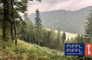 Gewerbeimmobilie kaufen in 4083 Haibach ob der Donau, Wald in 4083 Haibach ob der Donau zu verkaufen!