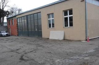 Büro zu mieten in 2231 Strasshof an der Nordbahn, Lagerhalle in Gewerbegebiet