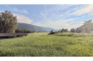 Gewerbeimmobilie kaufen in 9552 Steindorf am Ossiacher See, Steindorf / Ossiacher See: schöne landwirtschaftliche Fläche (kein Bauland!)