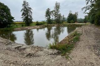 Grundstück zu kaufen in 4102 Goldwörth, Fischteich 52x27 mit Fischerhütte