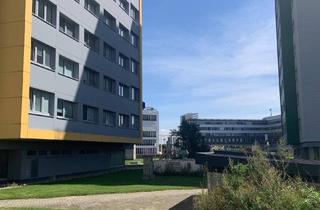 Wohnung mieten in 3100 Sankt Pölten, Garconniere im Zentrum von St. Pölten nach Kernsanierung zum Mieten