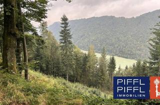 Immobilie kaufen in 4083 Haibach ob der Donau, Wald in 4083 Haibach ob der Donau zu Verkaufen!