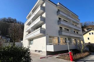 Büro zu mieten in Altstadt, Mönchsberg, 5020 Salzburg, Attraktives Geschäftslokal/Büro im Stadtteil Riedenburg zu Vermieten