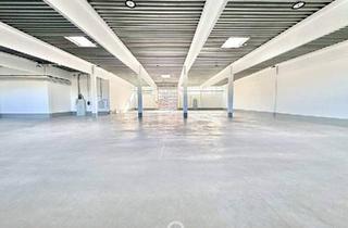 Büro zu mieten in 2345 Brunn am Gebirge, Lagerhalle in Brunn am Gebirge zu mieten