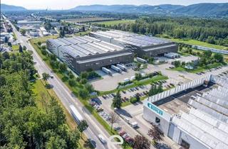 Büro zu mieten in 2100 Korneuburg, Neubau-Logistikhalle im Norden Wiens an der A22