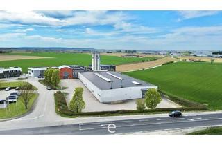 Büro zu mieten in 4641 Steinhaus, Produktions- und Lagerfläche inkl. Bürostandort zwischen Sattledt und Wels