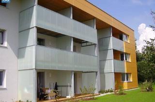 Wohnung mieten in Dr. Finsterer-Weg, 5252 Aspach, Objekt 219: 2-Zimmerwohnung in 5252 Aspach, Dr. Finsterer-Weg 6, Top 8