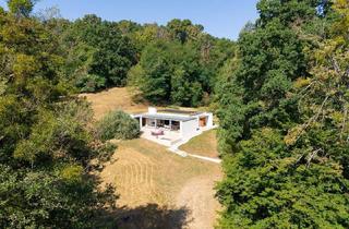 Haus kaufen in 7423 Pinkafeld, Park-Retreat Estate 1,7 Hektar