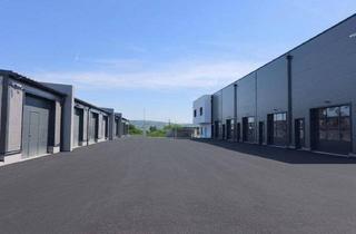 Lager mieten in 3710 Ziersdorf, Provisionsfrei! Garagenlager! Mehr Raum - Mehr Möglichkeiten - Mehr Freiheit!