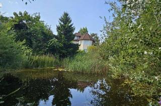 Villen zu kaufen in 2551 Enzesfeld-Lindabrunn, NEUER PREIS - Exklusive Villa mit Schwimmteich
