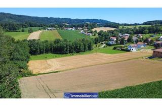 Grundstück zu kaufen in 4794 Kopfing im Innkreis, Attraktive Baugrundstücke in Kopfing - Grundstück 7