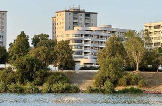 Wohnung mieten in Rudolf-Nurejew-Promenade, 1220 Wien, Frisch modernisierte 2-Zimmer-Wohnung direkt an der Neuen Donau