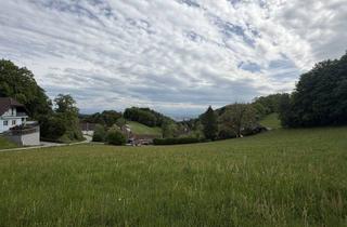 Grundstück zu kaufen in 4040 Linz, Lichtenberg: Sonniges Grundstück mit Blick nach Linz