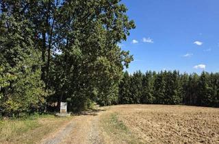 Gewerbeimmobilie kaufen in 7572 Deutsch Kaltenbrunn, Waldgrundstücke in Deutsch Kaltenbrunn