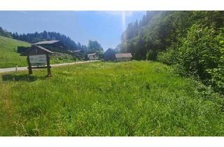 Grundstück zu kaufen in 4574 Vorderstoder, Leistbares Baugrundstück in der Wander- und Skiregion Pyhrn Priel!