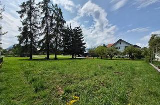 Grundstück zu kaufen in Stegstraße, 6835 Dafins, Grundstück in guter Lage