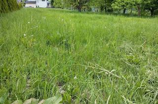 in 9903 Oberdrum, Grundstück 1320 m² in Oberdrum ab sofort verfügbar