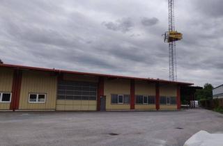 Lager mieten in 2752 Wöllersdorf, Gewerbeimmobilie - Lagerhalle - Produktionshalle