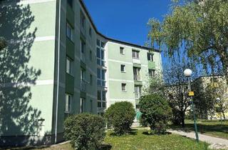 Wohnung kaufen in 2490 Ebenfurth, Preishit Ebenfurth – Startwohnung Nahe Neufeld !