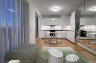 Wohnung mieten in Billy Wilder Promenade, 1030 Wien, Erstbezug | Dachgeschoss mit Weitblick & Sonnenuntergang | Voll möblierte Dachgeschosswohnung mit 13 m² Terrase & Tiefgaragenstellplatz möglich | Gym & Co-working | 7. OG