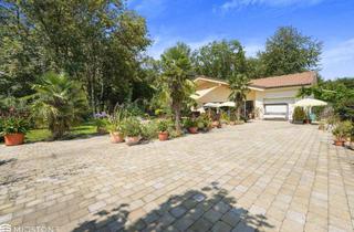 Einfamilienhaus kaufen in 3133 Traismauer, *Gartenidylle in absoluter Ruhelage* Traumhaftes Bungalow in Alleinlage