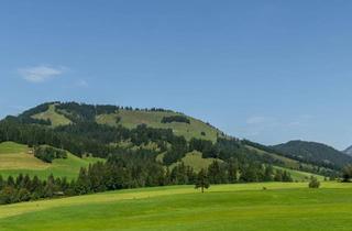 Penthouse mieten in 6395 Hochfilzen, Stilvolles Penthouse in Sonnenlage (06868)
