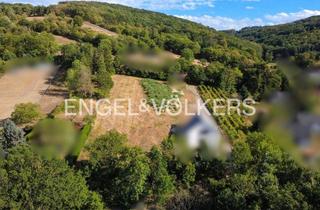 Grundstück zu kaufen in 3433 Königstetten, Exklusives Baugrundstück mit Naturidylle in begehrter Ruhelage von Königstetten