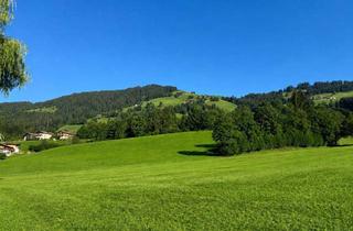 Grundstück zu kaufen in 6364 Brixen im Thale, Sonniges Grundstück mit Altbestand nahe der Skipiste in Brixen im Thale