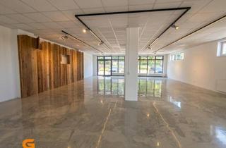 Büro zu mieten in 5322 Hof bei Salzburg, Werbewirksames Geschäftslokal / Showroom & Büro / in guter Frequenzlage
