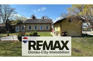 Haus kaufen in 2602 Blumau-Neurißhof, "Haus mit Potenzial!"