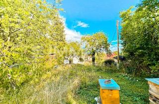 Grundstück zu kaufen in 1130 Wien, Der Sommer kommt - Herrliches Kleingartenparadies Am Hauerweg!