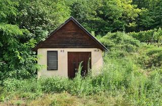 Lager kaufen in 3462 Absdorf, Uriger Weinkeller / Erdkeller in Absdorf-Hippersdorf (Bastlerhit)