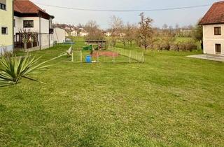 Grundstück zu kaufen in 4407 Dietach, DIETACH - EBENES, SONNIGES GRUNDSTÜCK!