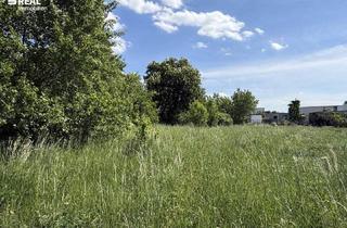 Grundstück zu kaufen in 7100 Neusiedl am See, Lebensqualität am Neusiedler See - Baugrund in attraktiver Lage