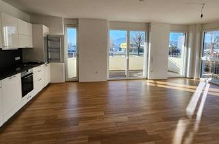 Wohnung mieten in 2103 Langenzersdorf, Elegante 3-Zimmer-Wohnung mit Balkon, Pool & Garagenplatz
