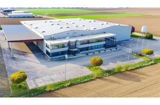 Gewerbeimmobilie kaufen in 3382 Loosdorf, Gewerbeobjekt in Loosdorf zu kaufen: 4.773 m² Gesamtnutzfläche auf 9.580 m² Grundstück